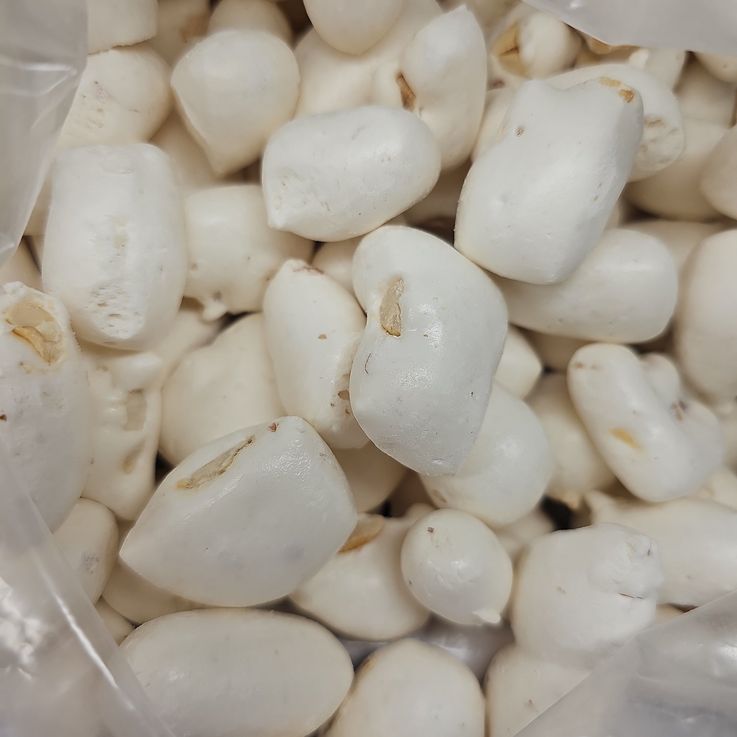 Big Stud (Freeze Dried Big Hunk)