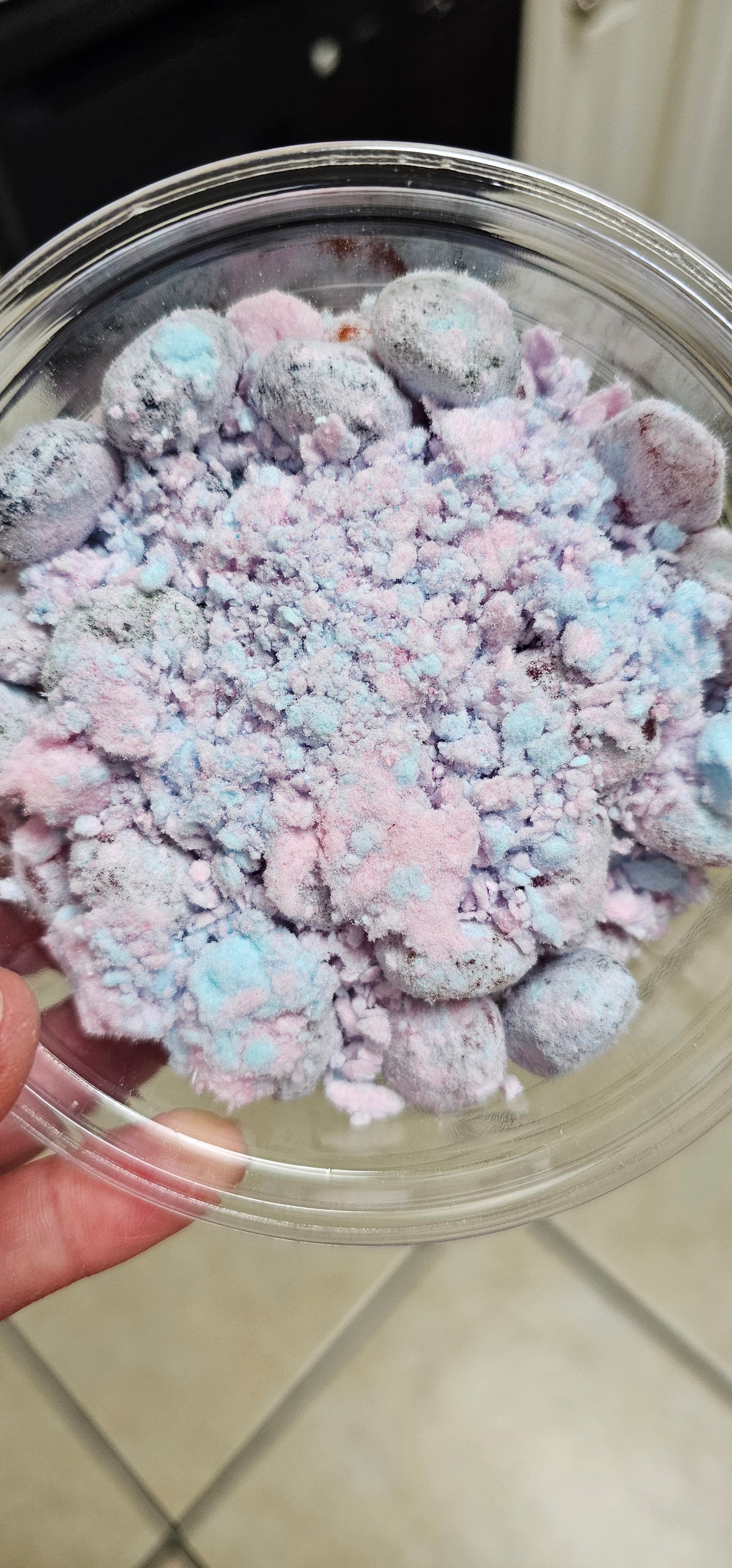 COTTON CANDY GUSHERS
