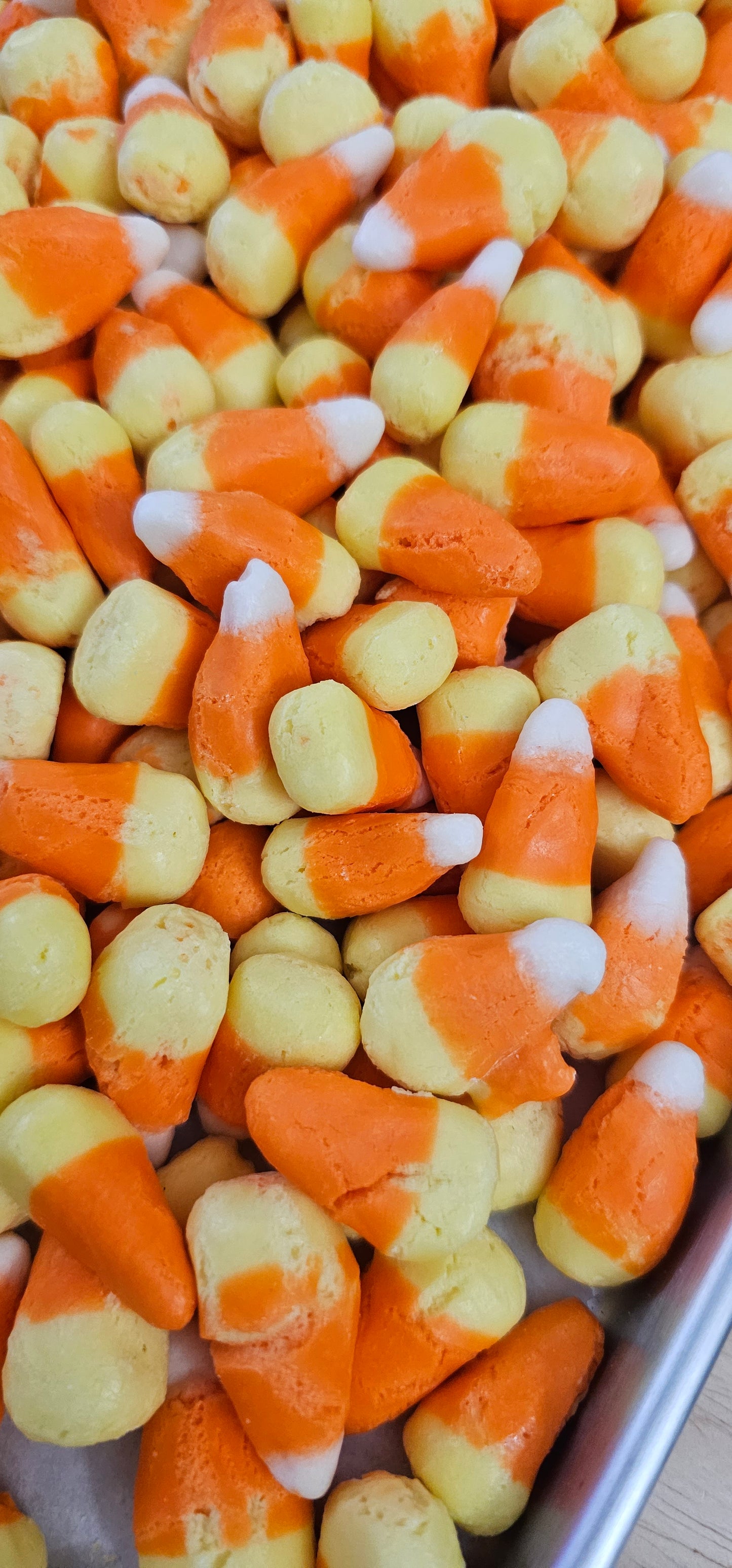 Freeze Dried Candy SAMPLER Rainbow Krunchies (Rainbow Skittles), Sour Krunchies (Sour Skittles, Lemon Balls (Lemon Heads), Candy Corn,  Kruncheads (Airheads) and Starblast (Starburst)