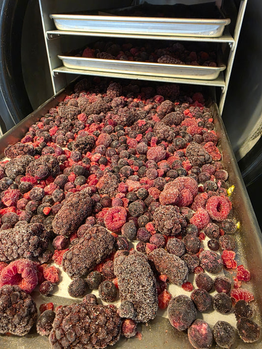Freeze Dried Blueberry,  Raspberry and Blackberry Mix